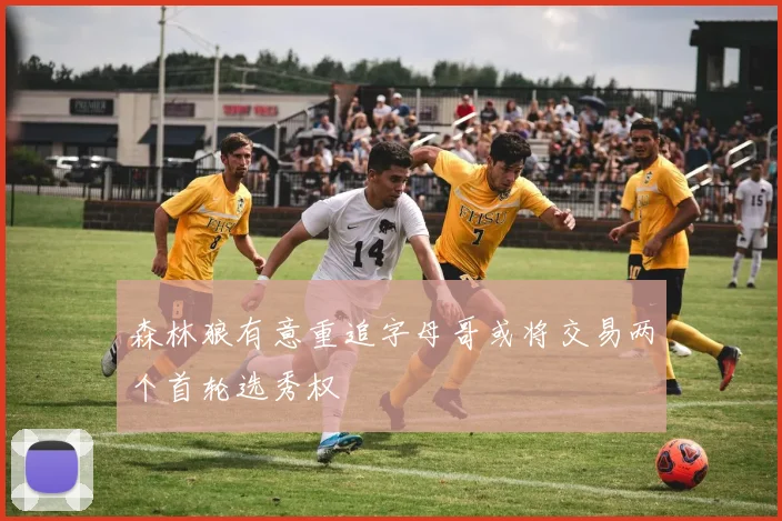 森林狼有意重追字母哥或将交易两个首轮选秀权