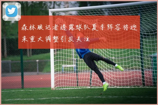 森林狼记者透露球队夏季阵容将迎来重大调整引发关注